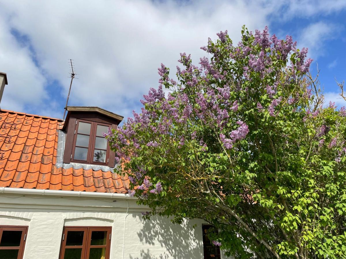A True Nature Pearl In Idyllic Surroundings But Close To The City Holbæk Exterior foto